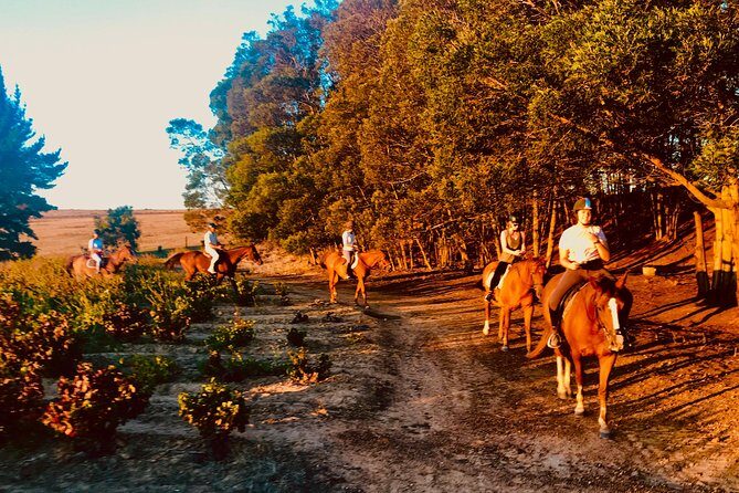2 Hour Vineyard Trail Ride - Stop 3: Spier in 3 minutes—what you can realistically do