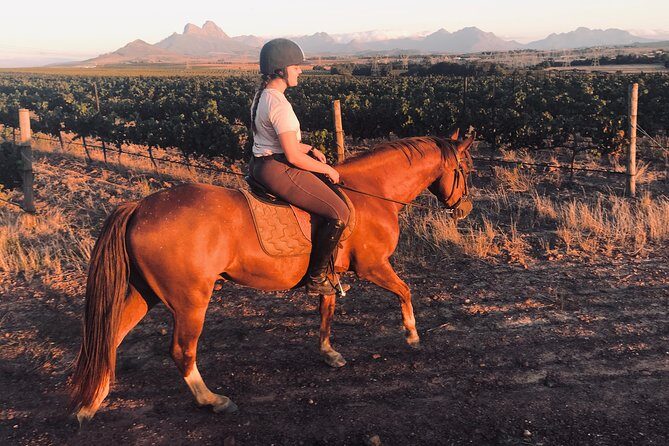 2 Hour Vineyard Trail Ride - What’s included, what isn’t, and how to plan for costs