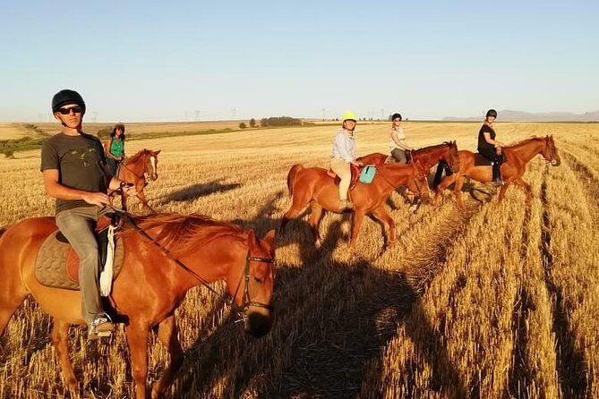 2 Hour Vineyard Trail Ride - Getting comfortable on a horse: the lesson that saves the day
