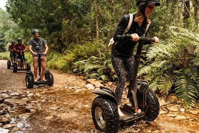 2 Hours Segway Experience in Stormsriver Village - Cruising Stormsriver Village: Pine Forest + Indigenous Forest Paths