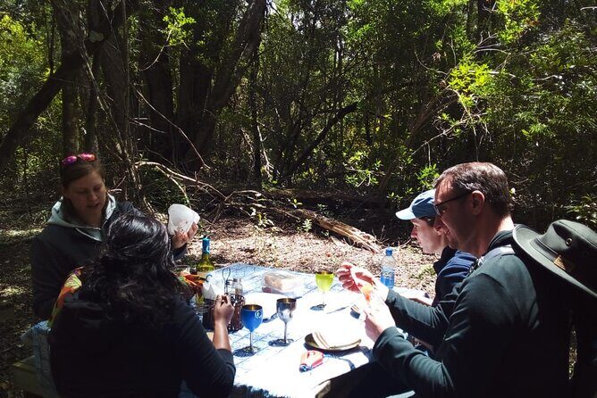2 Night Tenikwa Experience - Picnic lunch + wildlife tour: two hours that connect dots