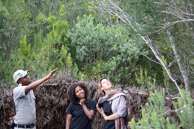 2 Night Tenikwa Experience - Your free afternoon near The Crags and Plettenberg Bay