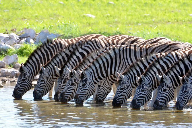 2-Nights 5-star Sanbona Game Reserve with private transfers to and from Sanbona - Key Points at a Glance