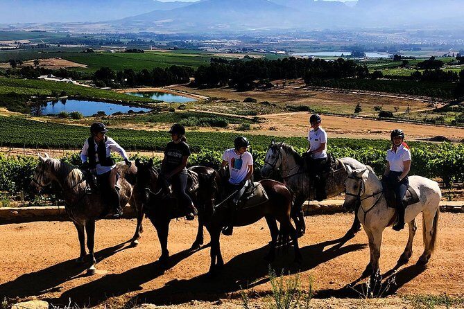 2h – Horse Trail - Where You Start: Vrede en Lust and the Franschhoek Wine Route