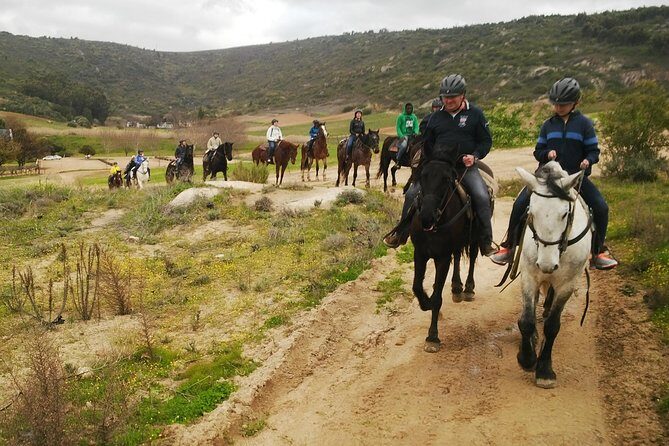 2h – Horse Trail - The Ride Itself: Tractor Routes, Mountain Climbs, and Gaits You’ll Recognize