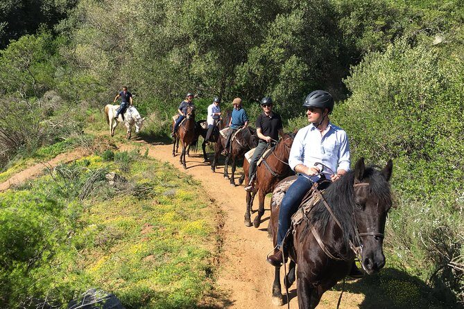 2h – Horse Trail - Mixed-Level Groups, Guided in Sections (How You Avoid the Too-Fast or Too-Slow Problem)