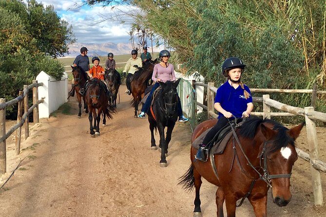 2h – Horse Trail - What Tack You’ll Ride With (And What to Request)