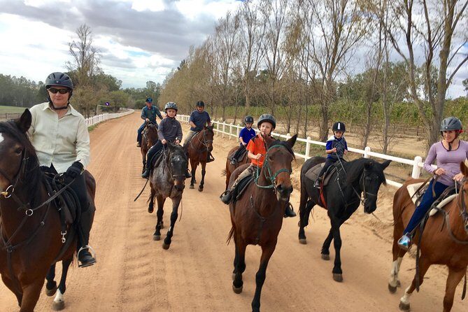 2h – Horse Trail - How the Horses Are Matched to You (Not the Other Way Around)