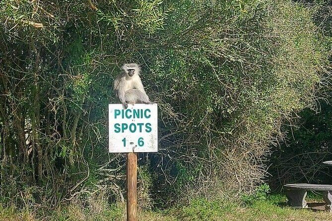 2hr Guided Game Drive at 10h00; Kragga Kamma Game Park Ticket - Price and value: why $28.18 can be a smart choice
