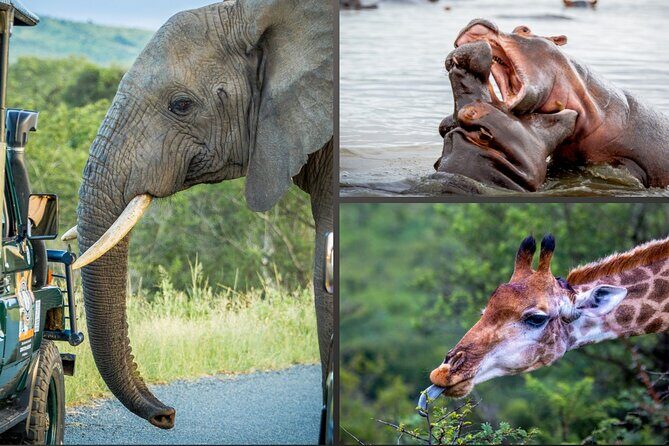 3 Day 2 Night Hluhluwe, St Lucia, Isimangaliso Tour - Key things to know before you go