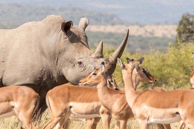 3 Day 2 Night Hluhluwe, St Lucia, Isimangaliso Tour - Price and value: what you’re really paying for