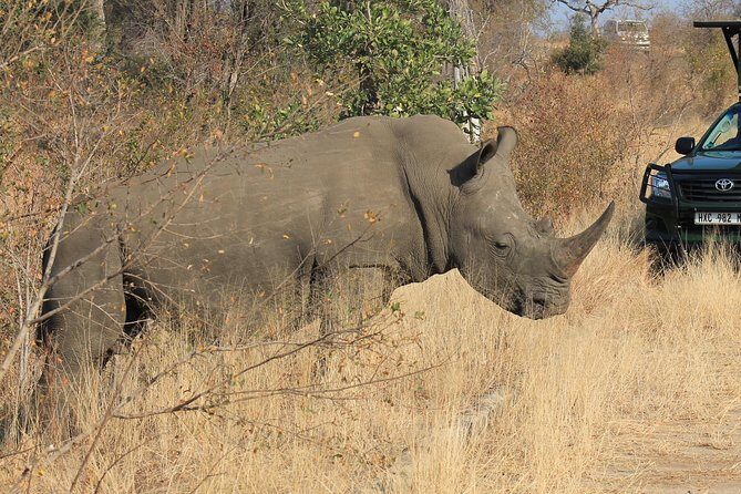 3 Day All Incl. Private Kruger Park Safari Incl. Transfer From Johannesburg - Key points before you book