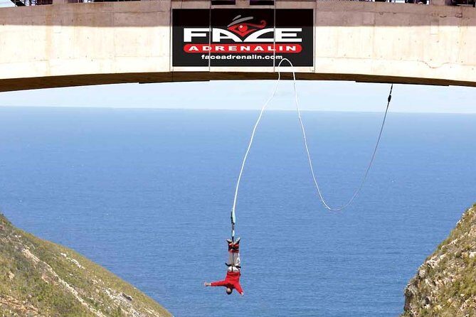 3 Day Big 5 and Bungee Tour - Garden Route Small Group Tour from Cape Town - Key things I’d plan around