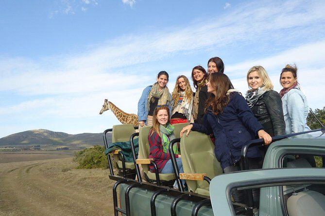 3 Day Big 5 and Bungee Tour - Garden Route Small Group Tour from Cape Town - 5:00am pickup and round-trip transport: the real hidden value