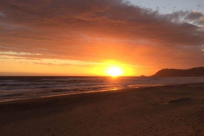 3 Day Big 5 and Bungee Tour - Garden Route Small Group Tour from Cape Town - Sedgefield and a South African dinner stop
