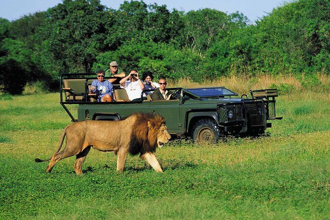 3 Day Big 5 and Bungee Tour - Garden Route Small Group Tour from Cape Town - Big Five safari at the edge of the Garden Route