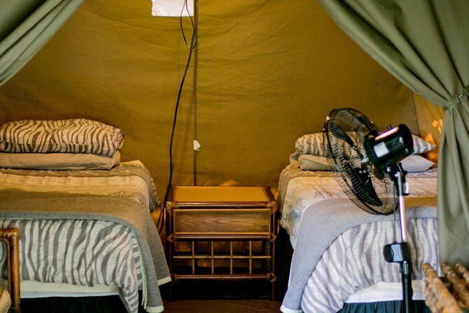3 Day Budget Tent Kruger National Park Safari - Kruger and Blyde in 3 days: why this combo works
