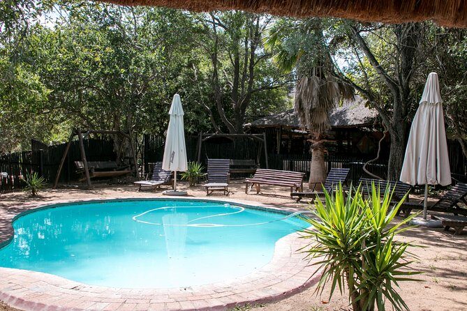 3 Day Budget Tent Kruger National Park Safari - Orpen in Kruger: full-day viewing where the best sightings feel random