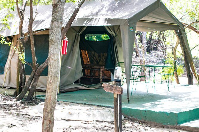 3 Day Budget Tent Kruger National Park Safari - Guides, group size, and the human side of safari