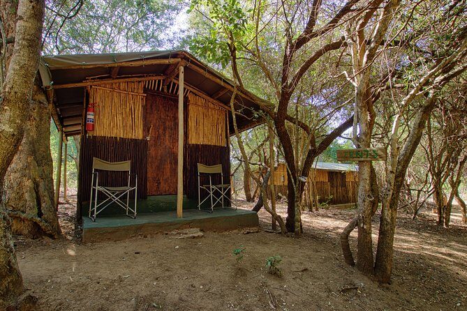 3 Day Budget Tent Kruger National Park Safari - Johannesburg pickup to Tremisana: the sunset-drive kickoff