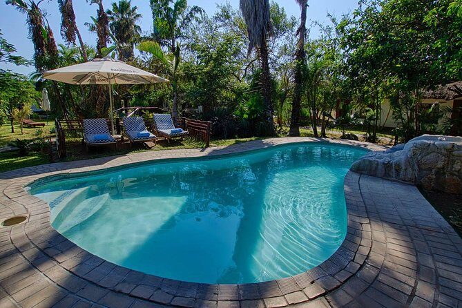 3 Day Classic Kruger National Park Safari - Transport and Group Size: The Small-Group Advantage (and the Real Risk)