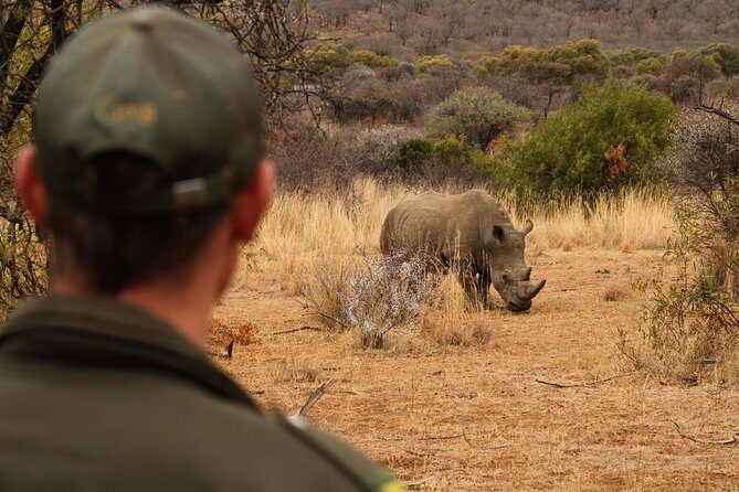 3 Day Garden Route Highlights and Safari with Private Transfers - Sedgefield evenings at the Indian Ocean: where the day cools down