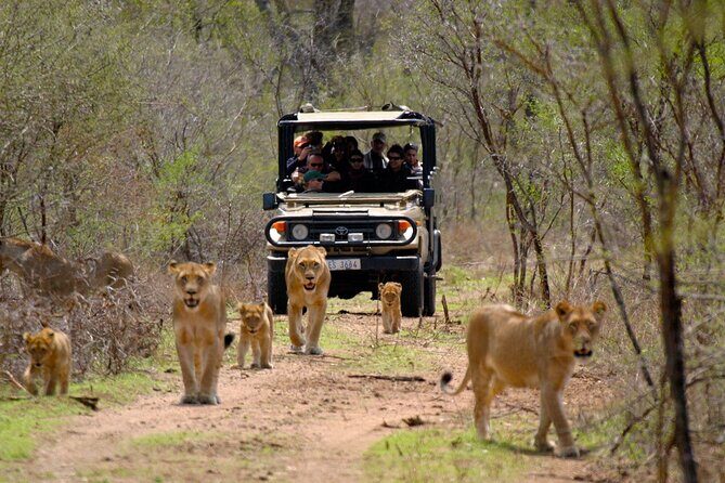 3 Day Garden Route Private Tour - Key things to notice before you go