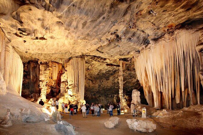 3 Day Garden Route Private Tour - Price and what you’re really paying for