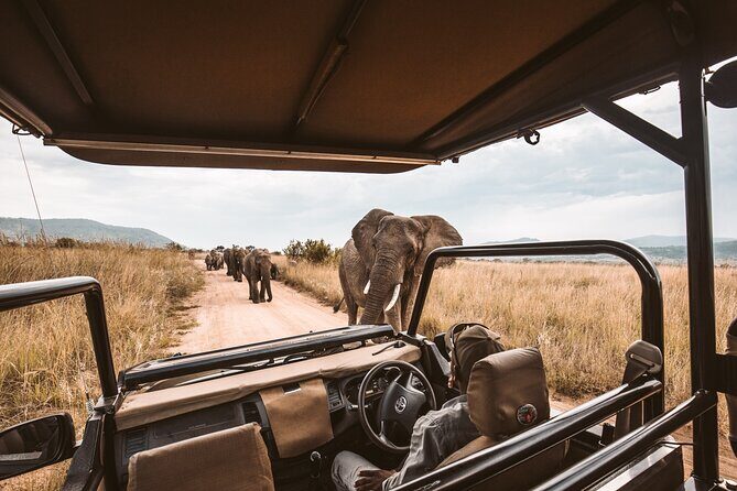 3 Day Garden Route Tour - Day 1 starting at 06:00: Cango Caves and Highgate Ostrich Farm