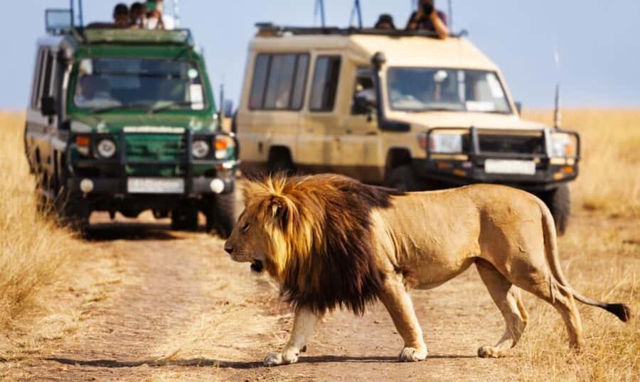 3 Day Hluhluwe & Isimangaliso Wetlands Pk Tour from Durban - Elephant Lake Hotel (or Similar) and Two Nights in St Lucia