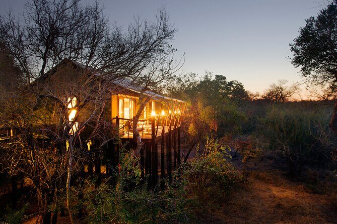 3 Day Kapama Buffalo Camp Safari - MoAfrika planning support: why it matters more than you think