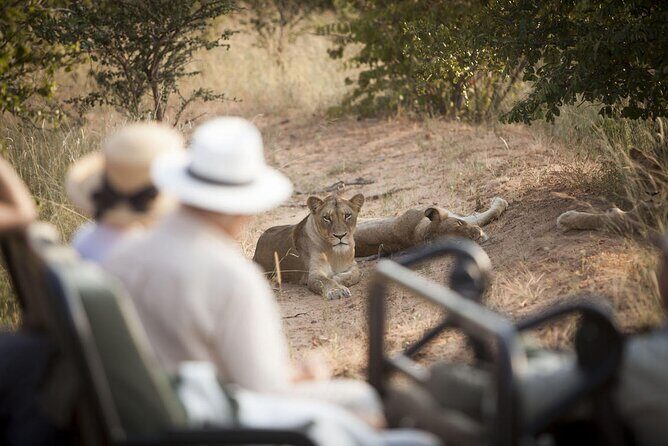 3 Day Kapama Southern Camp Safari - Quick hits for your Kapama safari