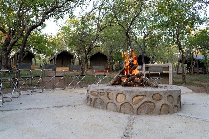 3 Day Kruger Glamping Budget Adventure - Day 2: Orpen–Satara lion-focused safari plus flexible departure times