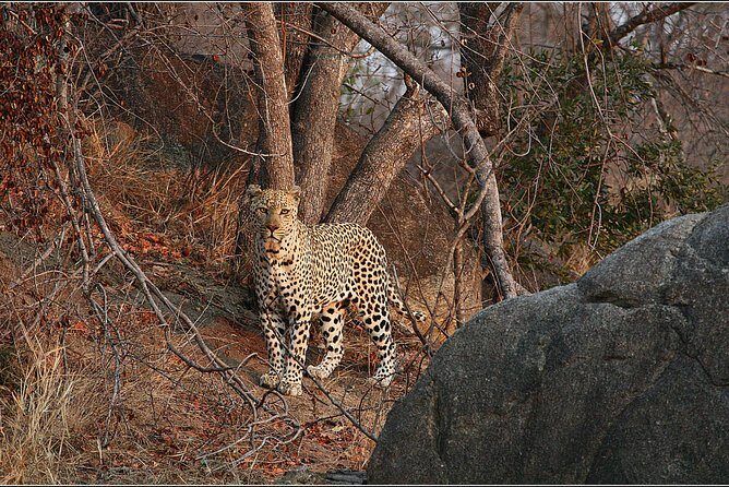 3 Day Kruger National Park and Crocodile River Safari - Crocodile River Views: Why Malelane Feels More Personal Than Typical Kruger