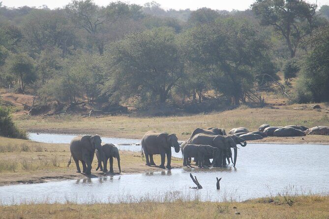 3 Day Kruger National Park and Crocodile River Safari - Hamilton’s Lodge and Meals: What You’re Paying For (and What You Aren’t)