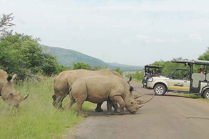 3 day Kruger National Park end with panaroma - Key Things To Know Before You Go