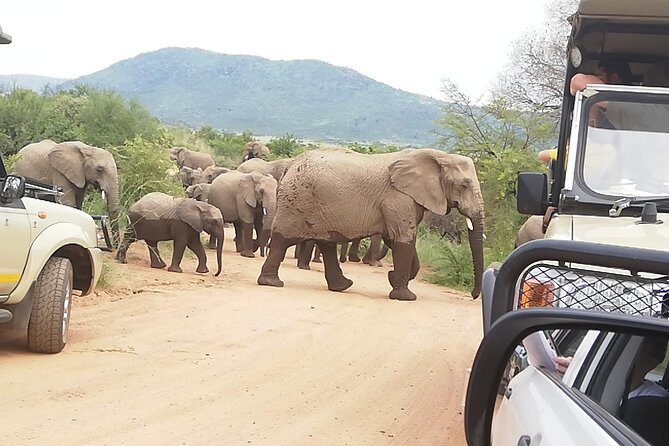 3 day Kruger National Park end with panaroma - Day Three on the way back: Panorama Route stops with big photo energy