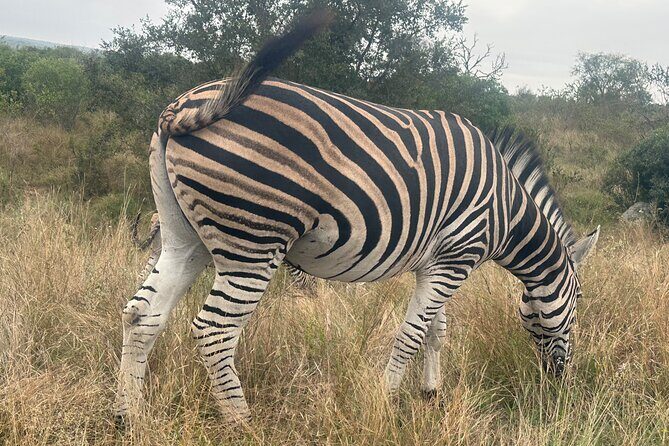 3 day Kruger National Park end with panaroma - What you’re really paying for: value beyond the sticker price