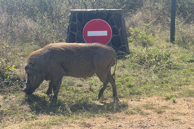 3 day Kruger National Park end with panaroma - Logistics that affect your comfort (and how to prepare)