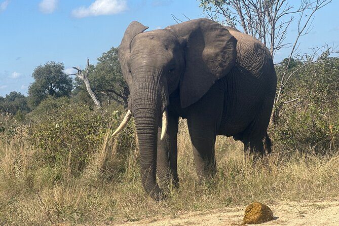 3 day Kruger National Park end with panaroma - Day Two in Kruger: the open-jeep Big Five focus