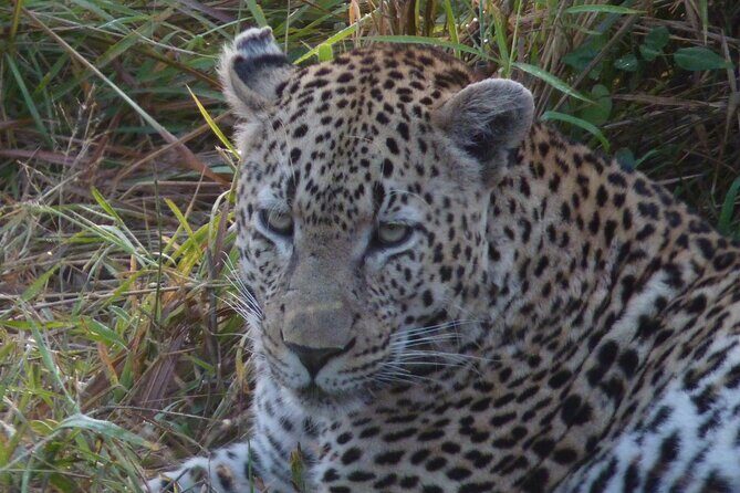 3-Day Kruger National Park Experience - Entering Kruger: Elephant Whispers and Skyway Trails on Day 1