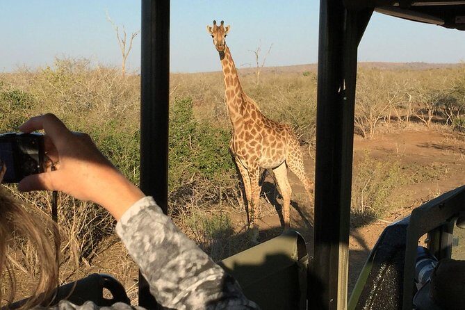3-Day Kruger National Park Open Vehicle Safari - Getting from Johannesburg to Kruger without the usual scramble