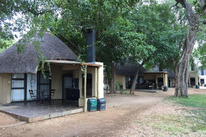 3-Day Kruger National Park Open Vehicle Safari - Day 3: your final morning drive and a smooth return to Johannesburg