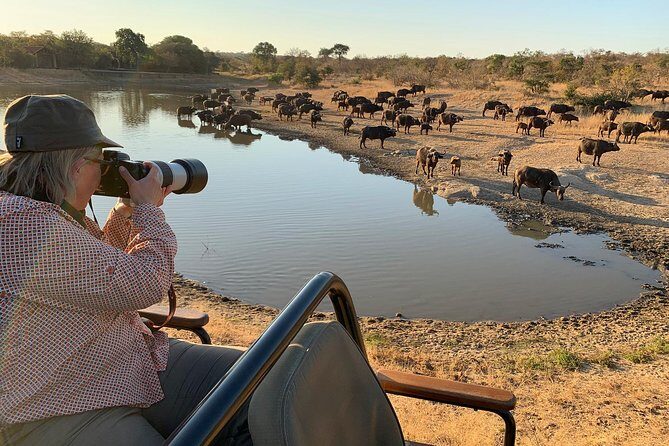 3-Day Kruger National Park Open Vehicle Safari - Spotting the Big Five: how guidance helps when luck is involved