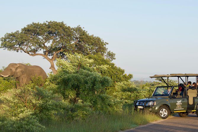 3-Day Kruger National Park Safari including Breakfast and Dinner - Meals and lodging: what’s covered, what to plan for, and a small caution