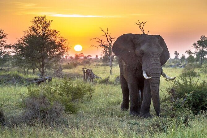 3 Day Kruger National Park Safari & Panorama Route - Kruger National Park: From Entry to Real Safari Time