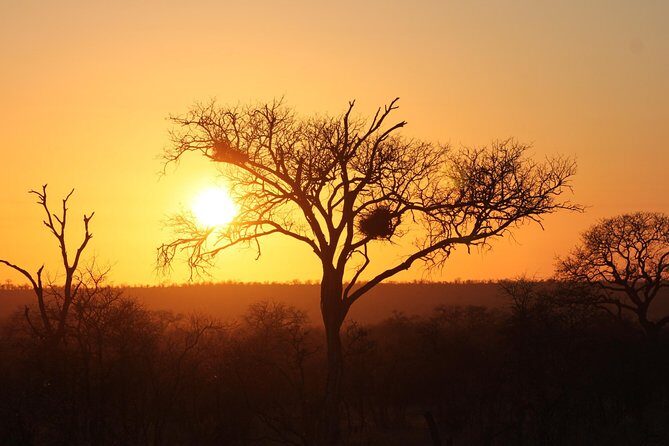3 Day Kruger National Park tour - Key highlights at a glance