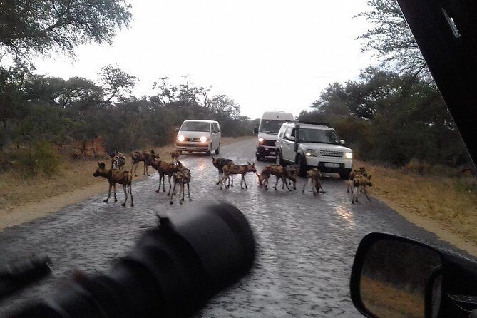 3 Day Kruger National Park tour - Klaserie Private Game Reserve: your base for two nights in Greater Kruger