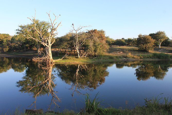 3 Day Kruger National Park tour - Day 3 Blyde River Canyon Nature Reserve: a scenic reset before flying out