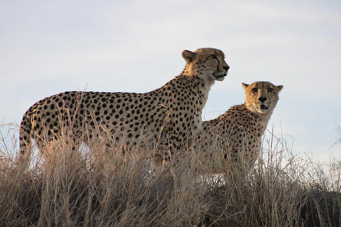 3 Day Kruger National Park tour - The logistics that matter: pickup, private group, and mobile ticket